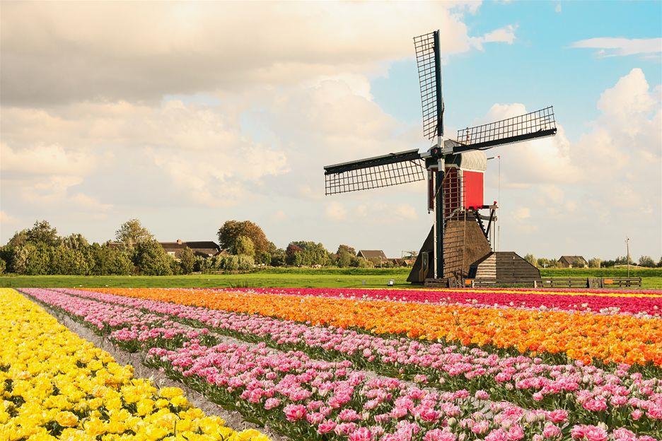 upload/news/Bảo hiểm du lịch quốc tế đi Hà Lan và những lưu ý khi du lịch Hà Lan